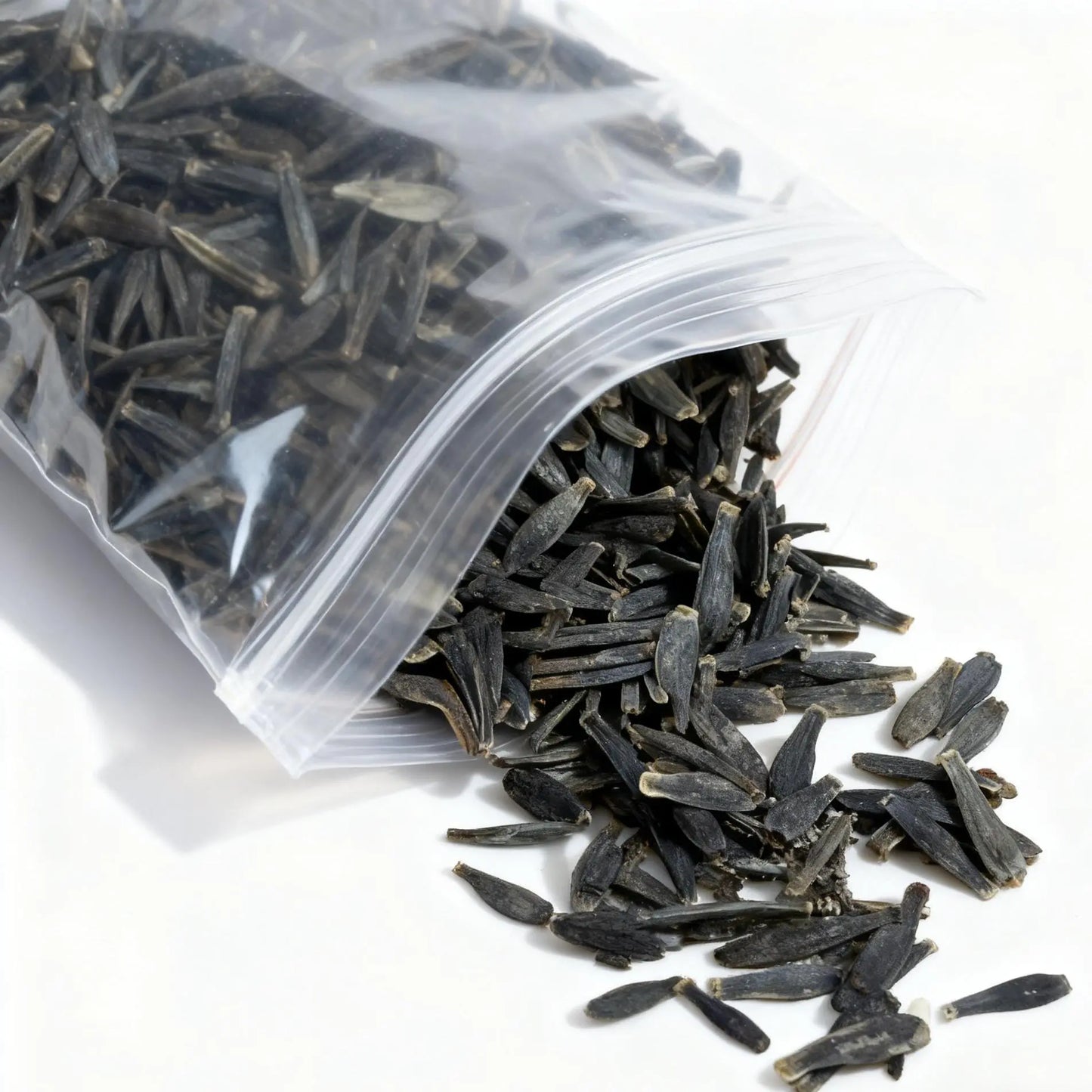 【Buy 2 Get 1 Free】Hosta Seeds,Shade Plant Seeds for Garden and Yard,With Instructions