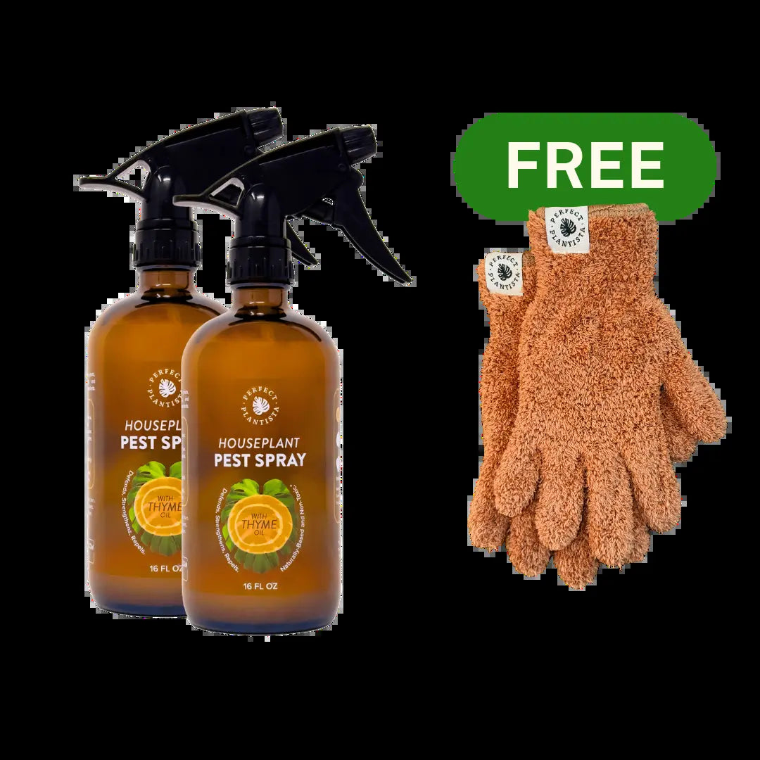 Perfect Plantista Houseplant Pest Spray for Houseplant Pests Thyme Oil Repellent