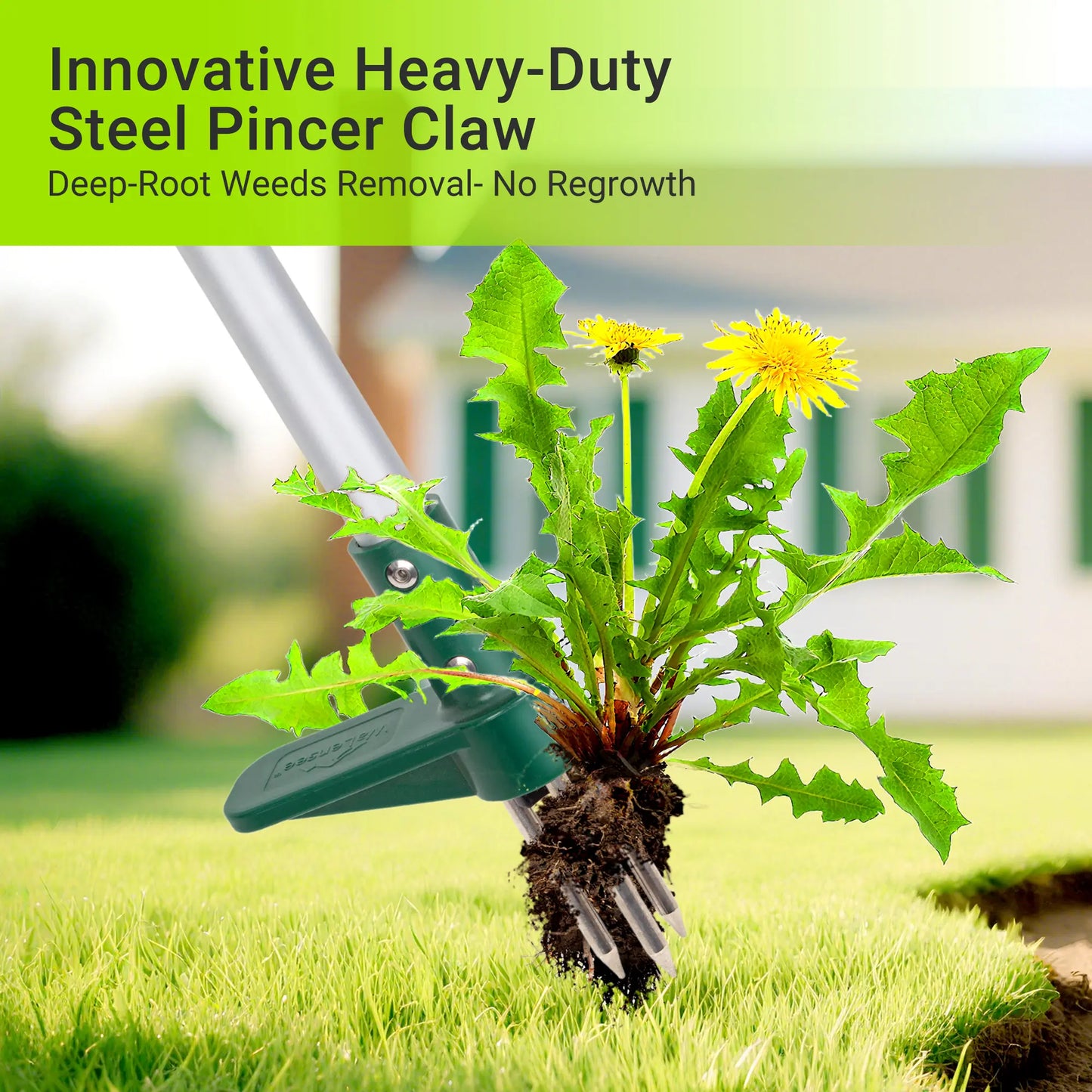 Walensee Stand-Up Lawn Root Puller for Dandelions & Deep-Root Plants β No-Bend Design, Perfect for Homeowners & Fall Yard Care, Black Friday Deal