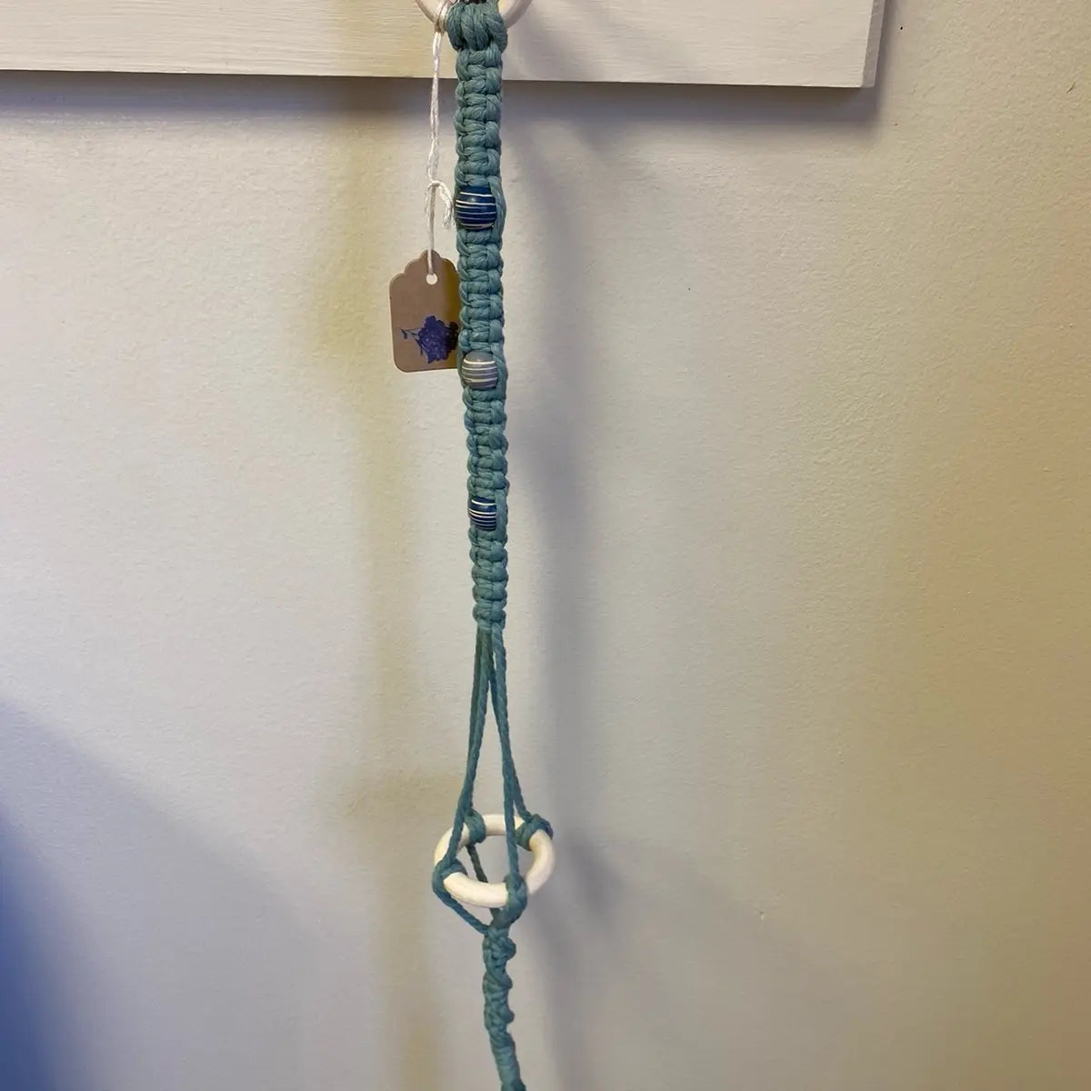 Single Air Plant Holder Grab Bag