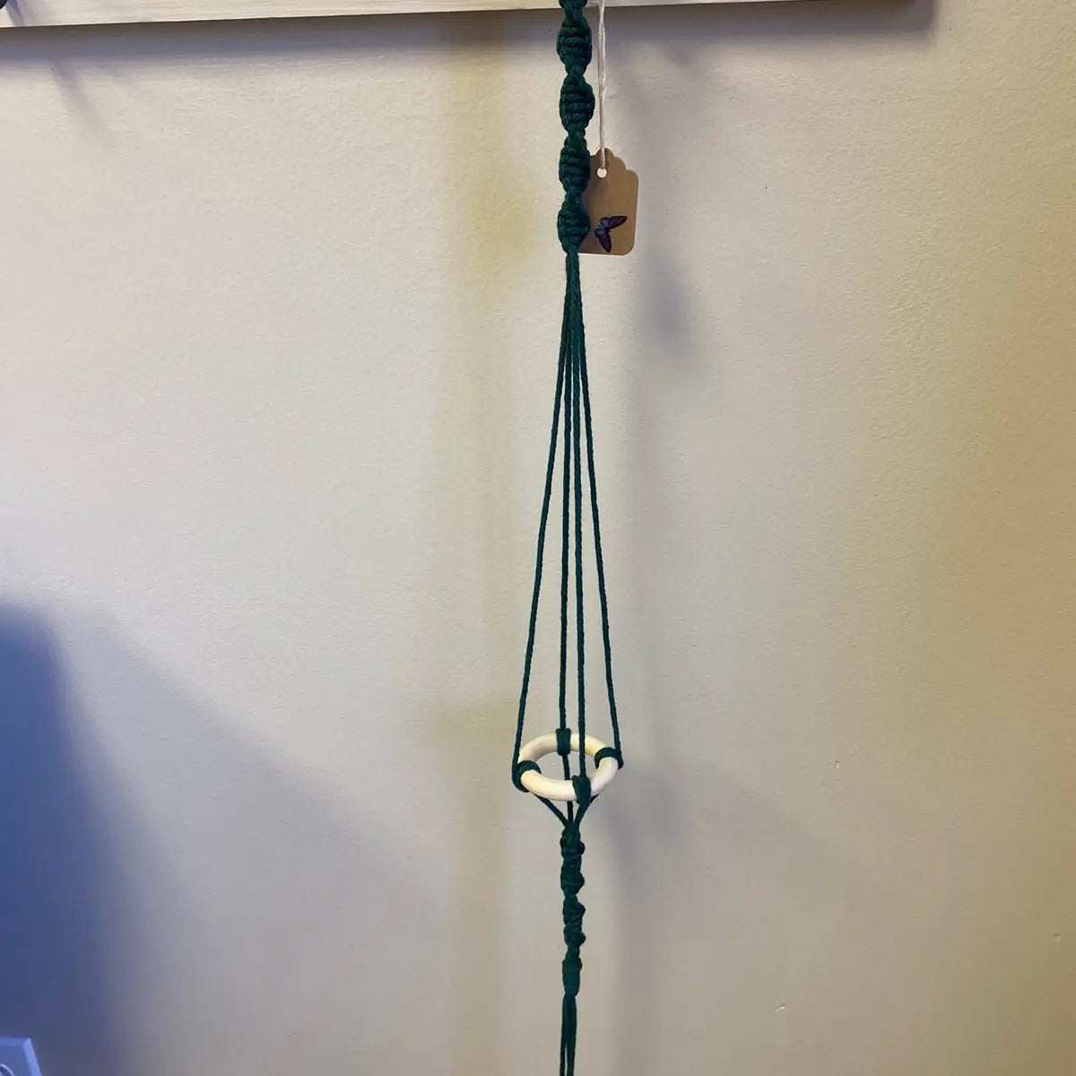 Single Air Plant Holder Grab Bag
