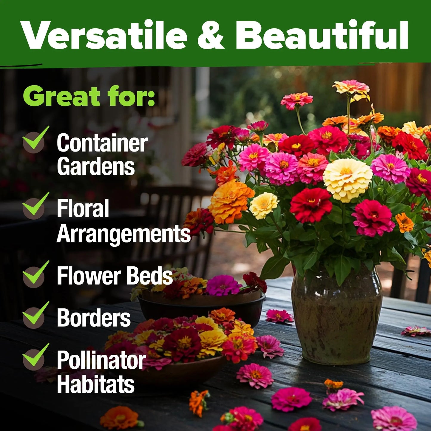 Zinnia Seeds (California Giant & Dahlia) – 100% Pure Heirloom Flower Seeds – No Fillers – USA Grown (Multiple Variations)