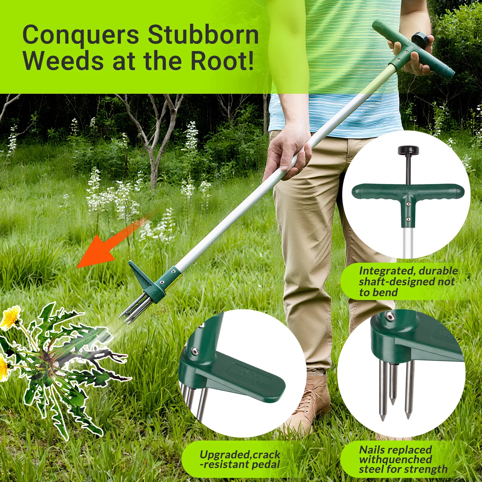 Walensee Stand-Up Lawn Root Puller for Dandelions & Deep-Root Plants — No-Bend Design, Perfect for Homeowners & Fall Yard Care, Black Friday Deal