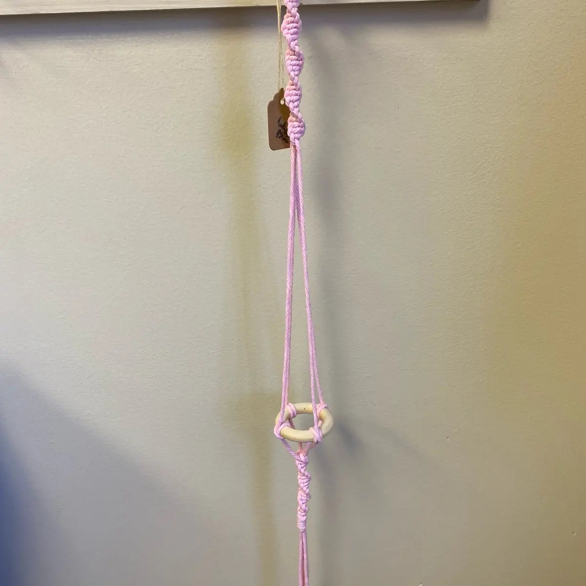 Single Air Plant Holder Grab Bag
