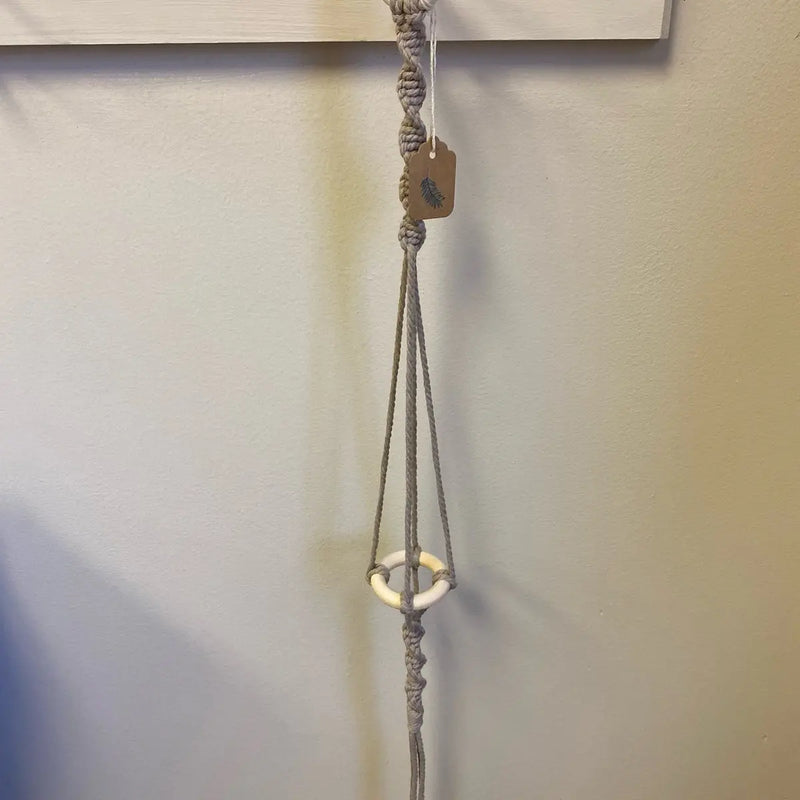 Single Air Plant Holder Grab Bag