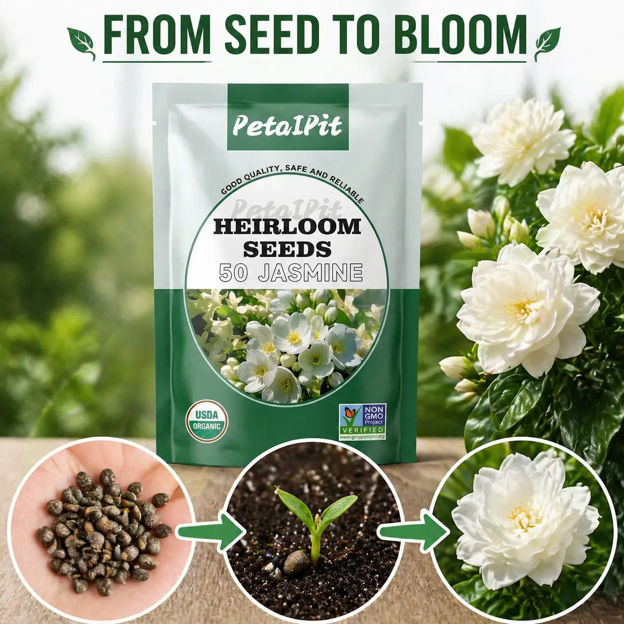 For 50 Non-Gmo Climbing Silver Jasmine Seeds - Aromatic Evergreen, Ideal Decor Choice for Garden & Balcony
