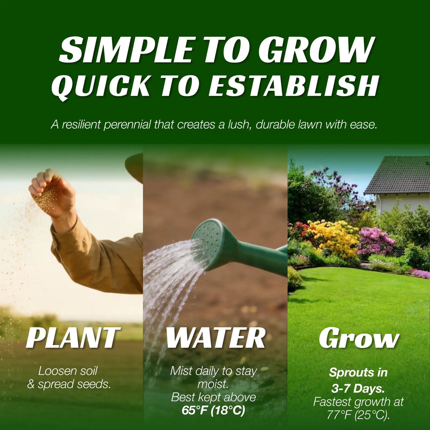 Premium Grass Seeds Sun & Shade - Hardy Lawn Seeds for Dense Green Turf, Great for New Lawns or Overseeding