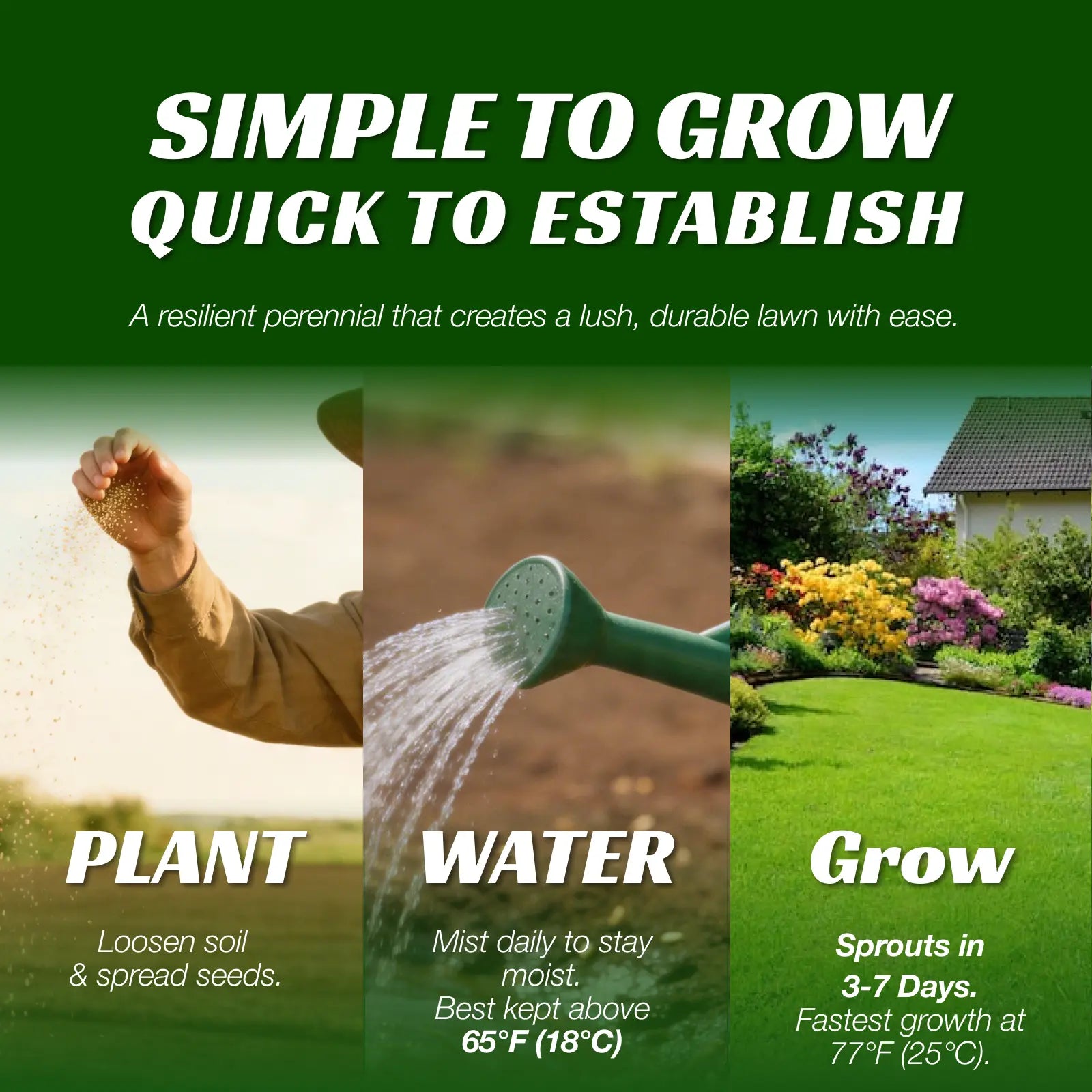 Premium Grass Seeds Sun & Shade - Hardy Lawn Seeds for Dense Green Turf, Great for New Lawns or Overseeding