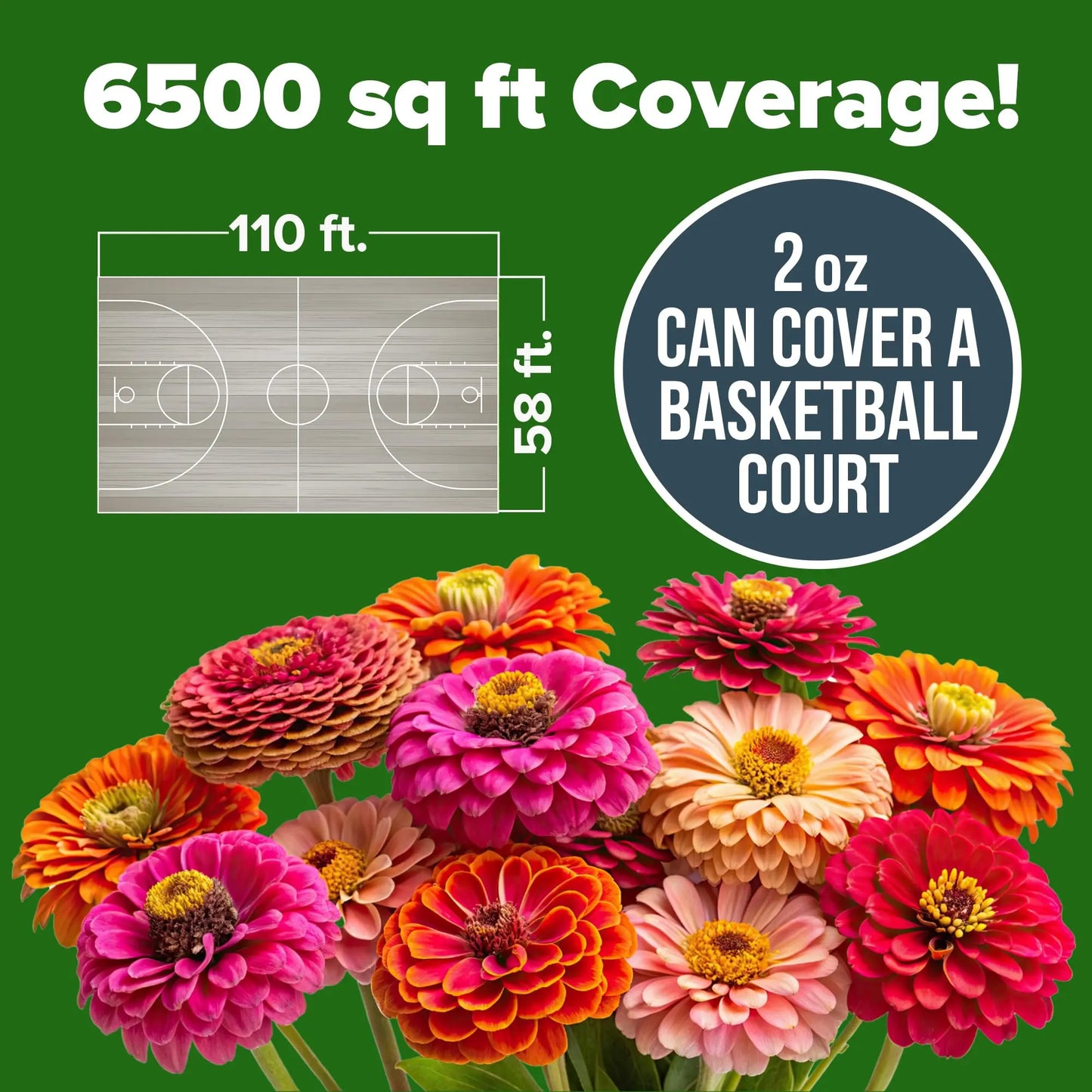 Zinnia Seeds (California Giant & Dahlia) – 100% Pure Heirloom Flower Seeds – No Fillers – USA Grown (Multiple Variations)
