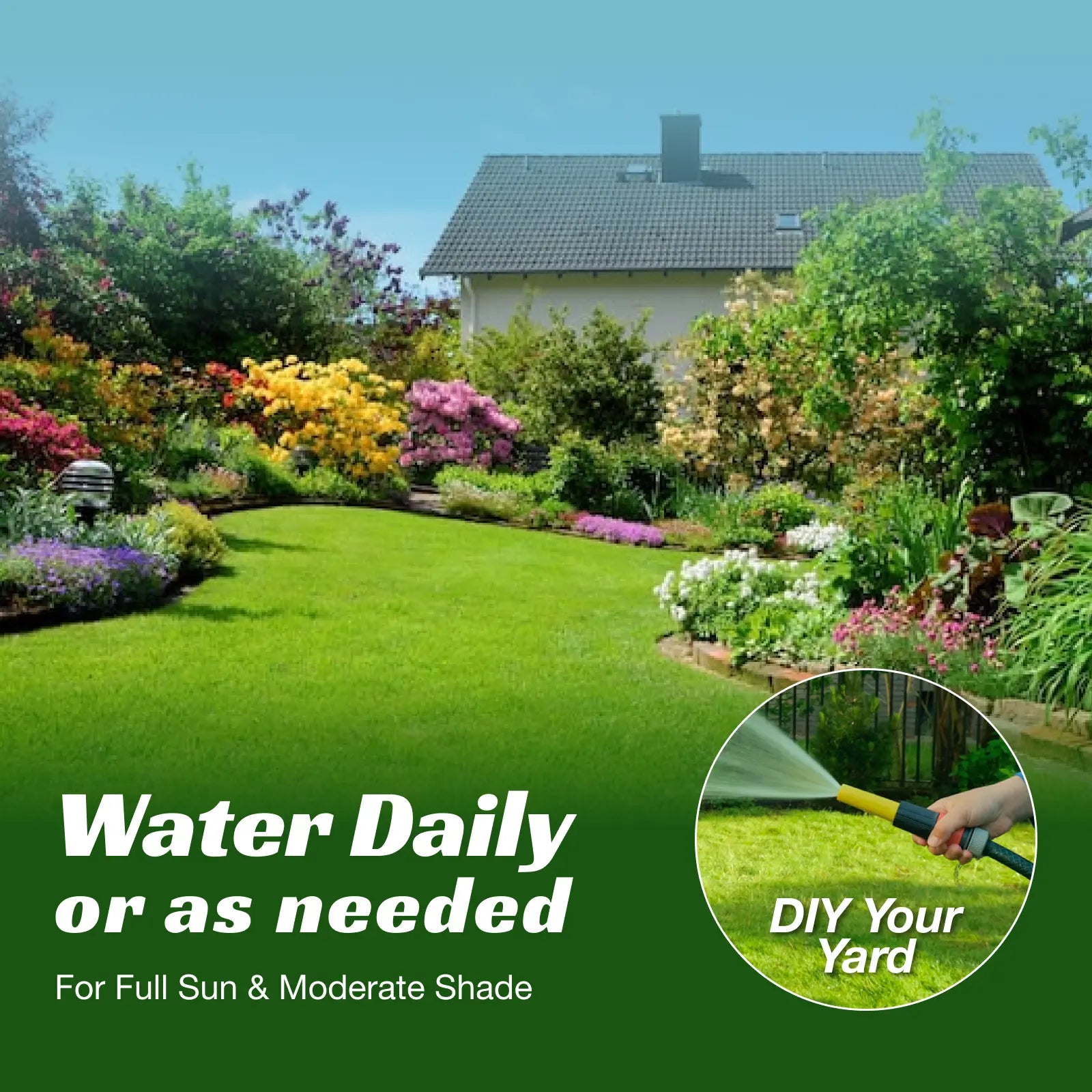 Premium Grass Seeds Sun & Shade - Hardy Lawn Seeds for Dense Green Turf, Great for New Lawns or Overseeding