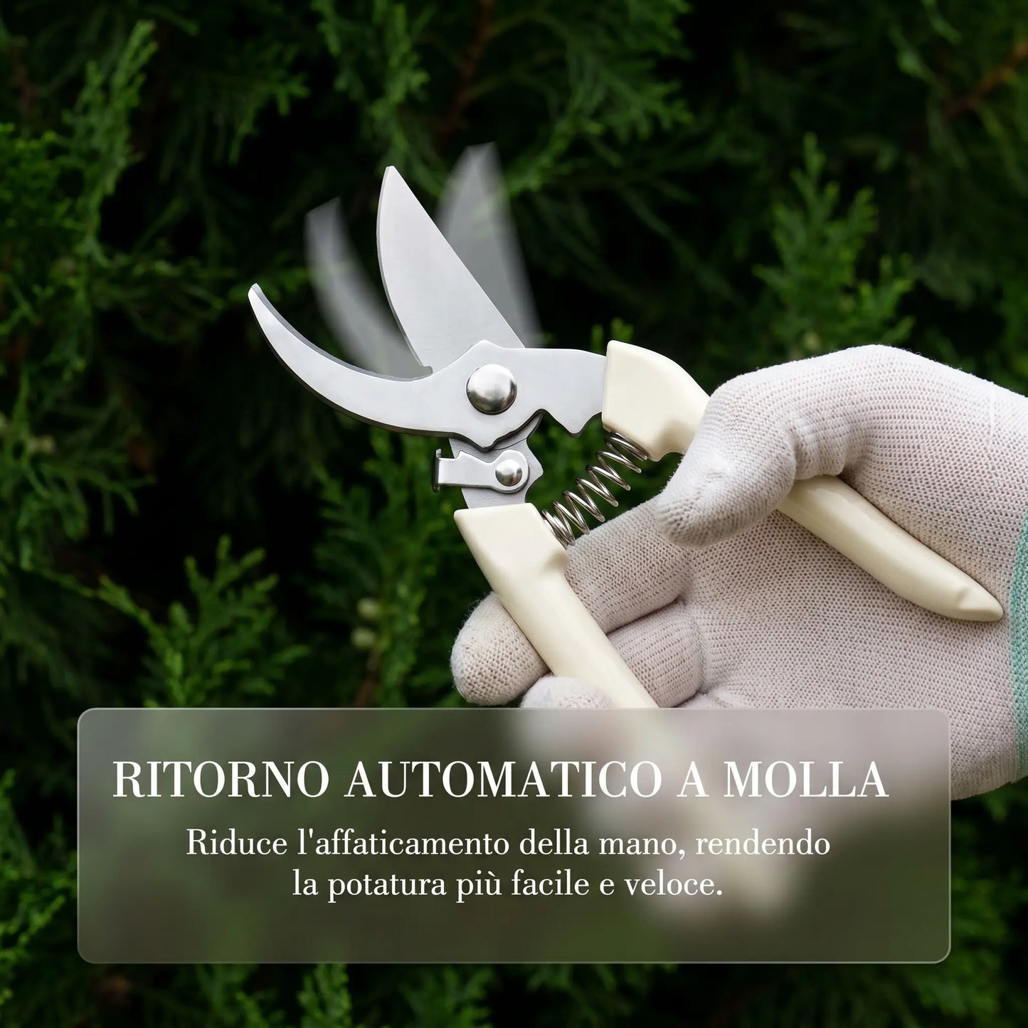IRONFIX 2Pcs Stainless Steel Garden Pruning Shears - Sharp Pruning Tool, Cutting Pruners for Gardening & Florists, Garden Tools with Straight & Curved Blades for Plants, Fruit Tree Branches
