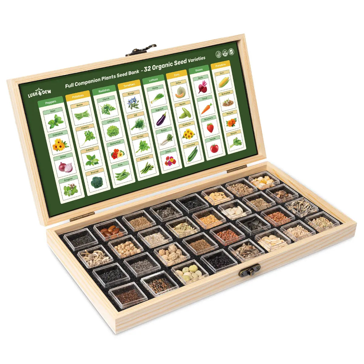 LUSH&DEW Year-Round USDA Zone 7 Seed Bank - 32 Organic Seed Varieties for All Seasons Gardening with Seasonal Synchrony