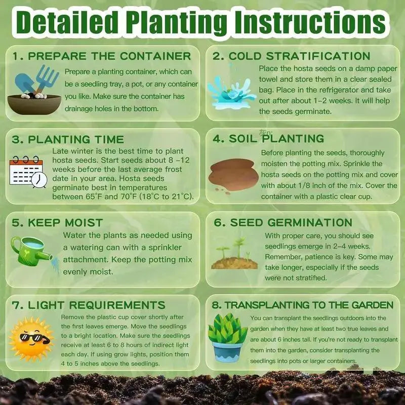 【Buy 2 Get 1 Free】Hosta Seeds，Shade Plant Seeds for Garden and Yard，With Instructions