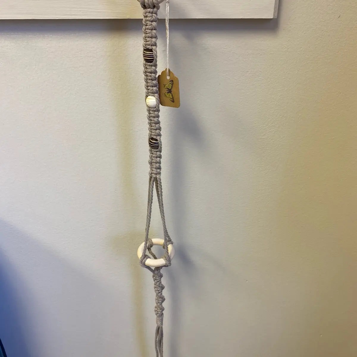 Single Air Plant Holder Grab Bag