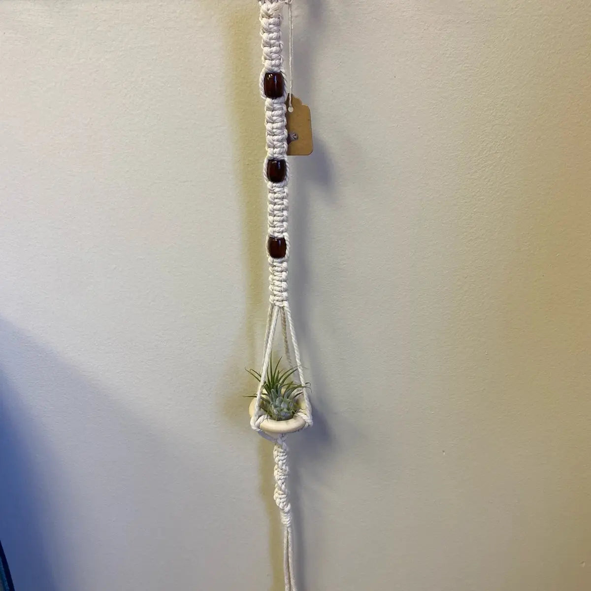 Single Air Plant Holder Grab Bag
