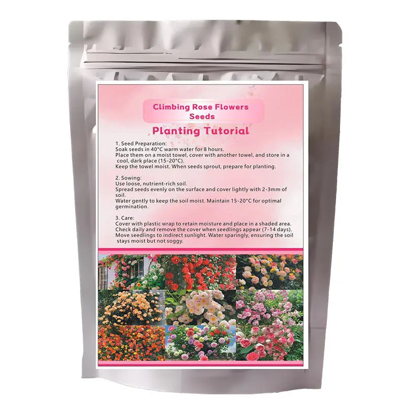 Mixed-Color Climbing Rose Seeds 200Pcs, Easy to Grow, Year-Round Planting