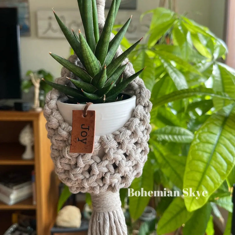 Macrame Pod Airplant Succulent Hanger
