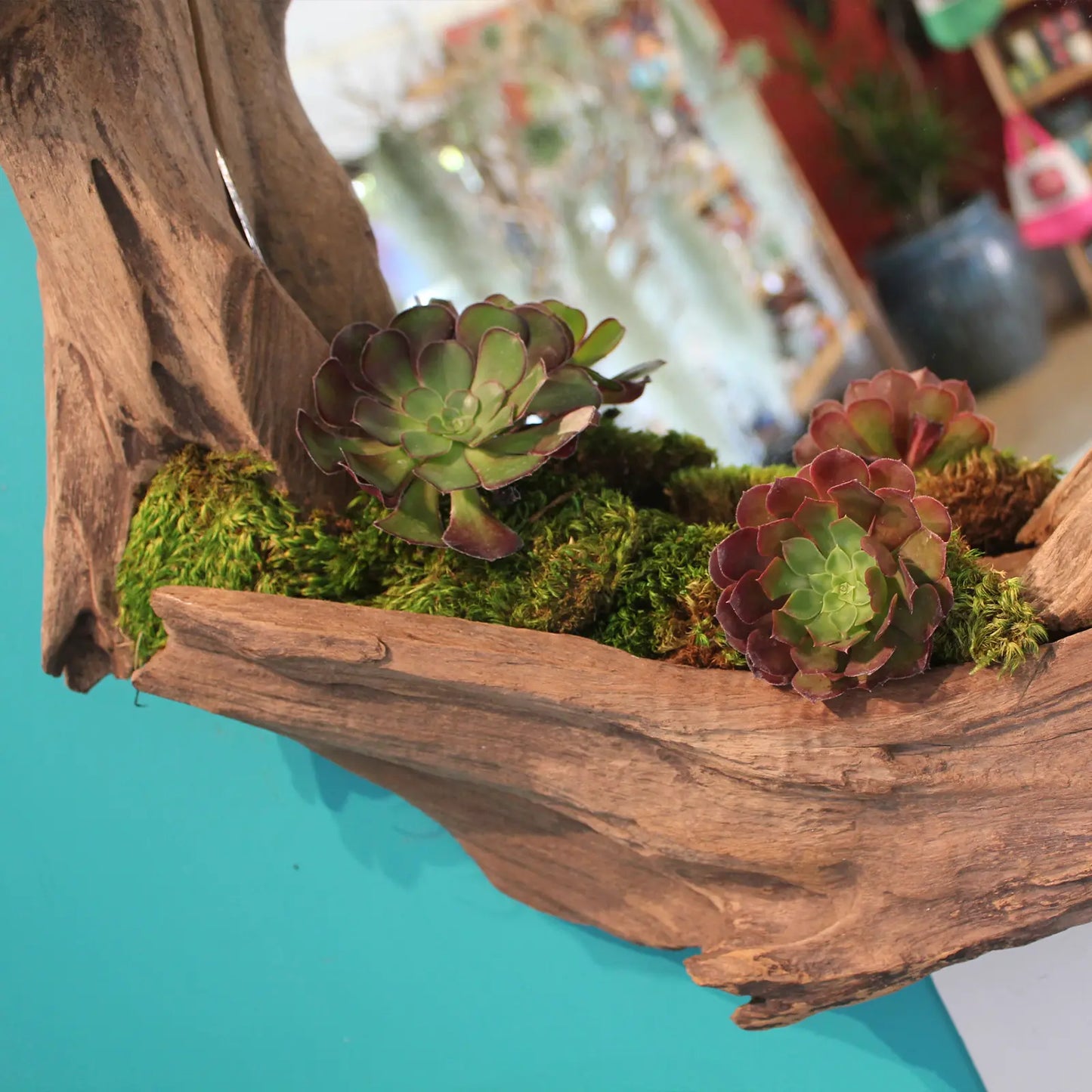 Supermoss Preserved Mood Moss, Fresh Green | Ideal for Terrariums, Floral Arrangements, Indoor Plants, and Green Decor