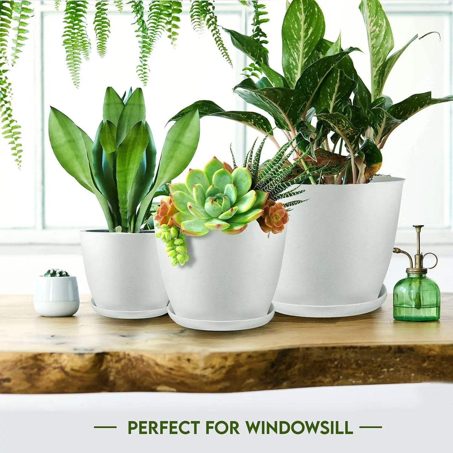 Utopia Home Plastic Indoor Flower Pots with Drainage Plugs - 7/6.6/6/5.3/4.8In Mini, Decorative, Tabletop Planters - Ideal for Gardening Gifts, Birthdays, Housewarming, Earth Day