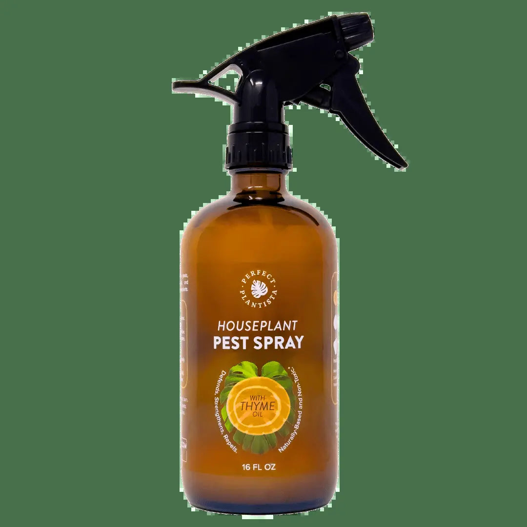 Perfect Plantista Houseplant Pest Spray for Houseplant Pests Thyme Oil Repellent