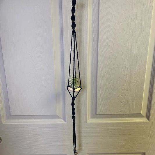 Single Air Plant Holder Grab Bag