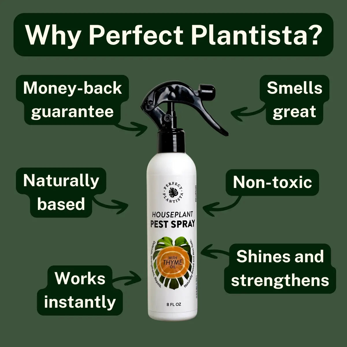 Perfect Plantista Houseplant Pest Spray for Houseplant Pests Thyme Oil Repellent