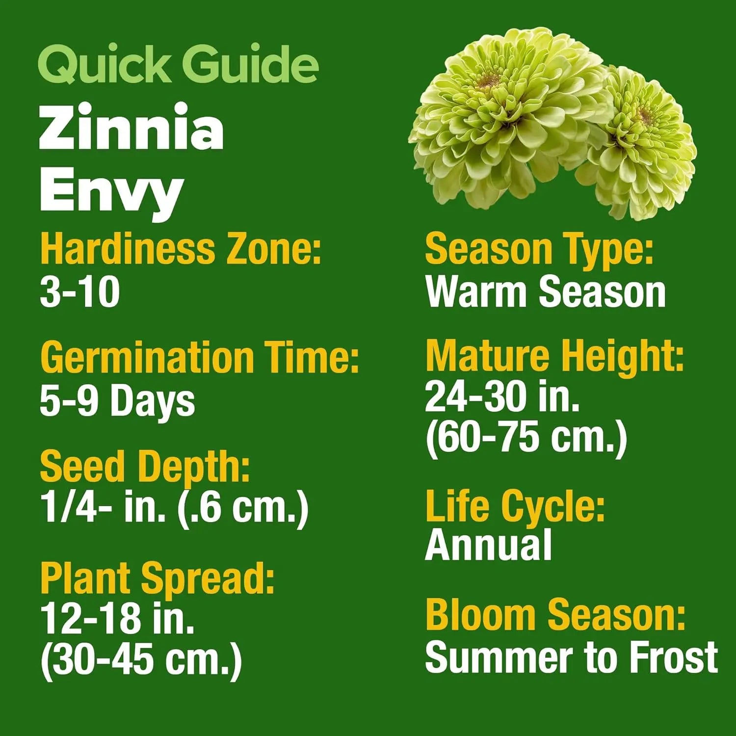 Pastel Garden Flower Seed Bundle – Zinnia Luminosa, Snapdragon Northern Lights & Zinnia Envy