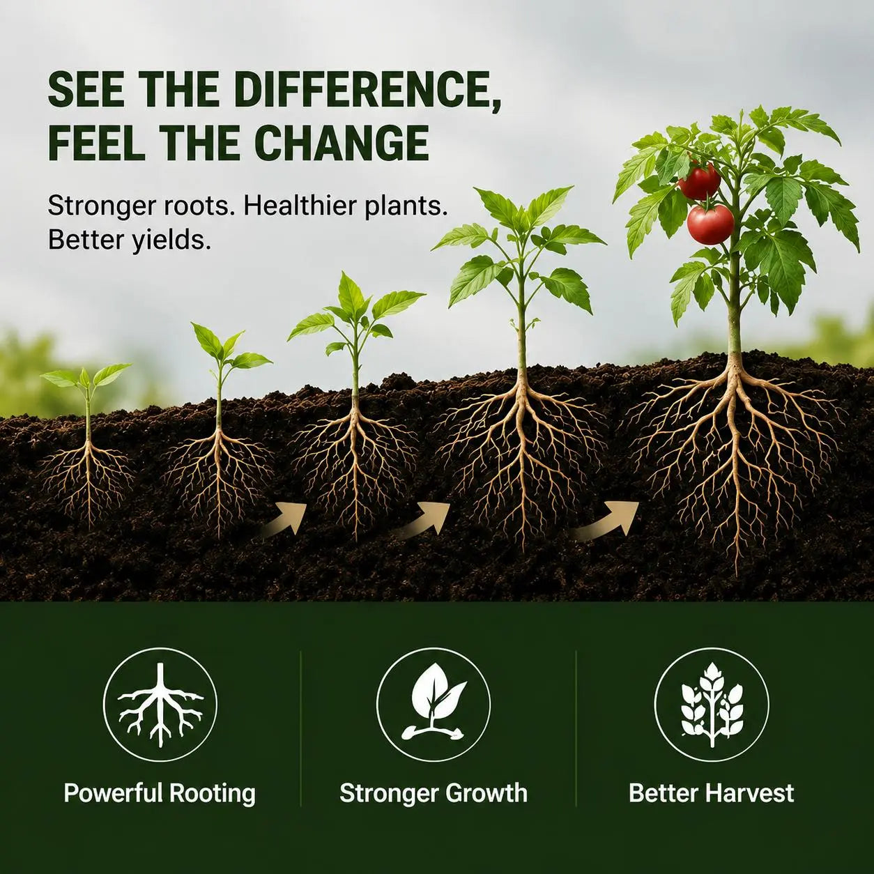 Viresta Soil Revitalizer - Concentrated Humic Acid Conditioner for Lawns, Gardens, Fruit Trees, Vegetables, and Potted Plants, Yields Up to 266 Gallons, 13.8 Oz