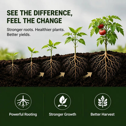 Viresta Soil Revitalizer - Concentrated Humic Acid Conditioner for Lawns, Gardens, Fruit Trees, Vegetables, and Potted Plants, Yields Up to 266 Gallons, 13.8 Oz