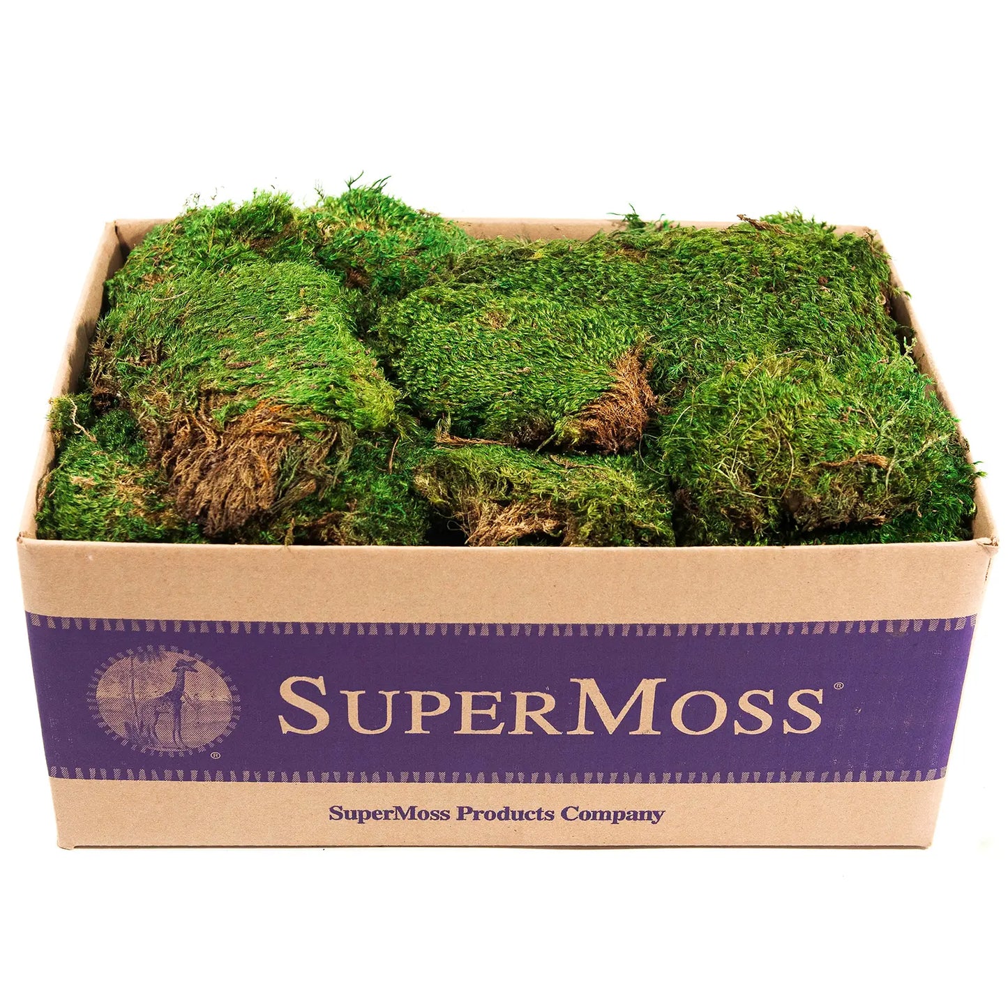 Supermoss Preserved Mood Moss, Fresh Green | Ideal for Terrariums, Floral Arrangements, Indoor Plants, and Green Decor