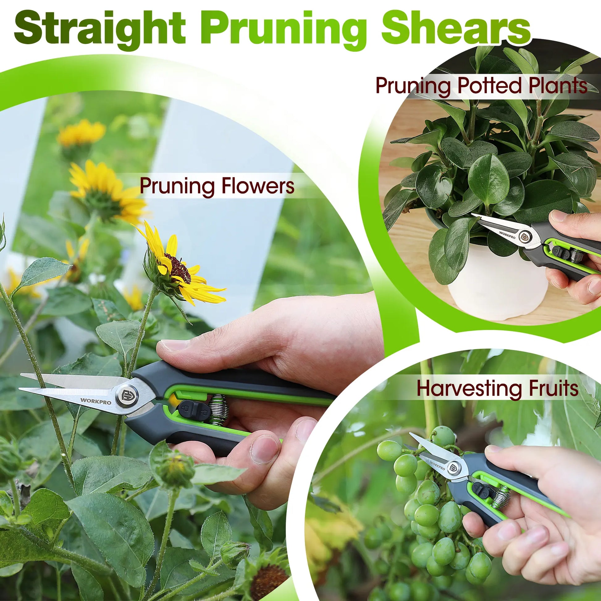 WORKPRO Premium Bypass Pruning Shears and Garden Scissors - High-Quality Hand Tools for Cutting Flowers, Trimming Plants, and Picking Fruits