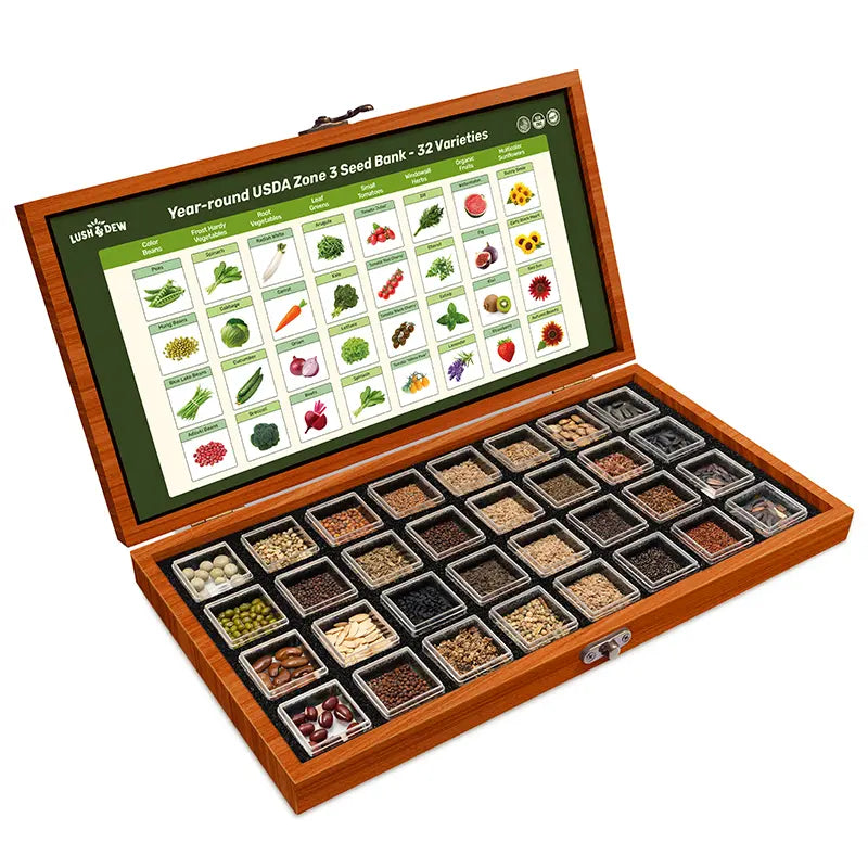 LUSH&DEW Year-Round USDA Zone 7 Seed Bank - 32 Organic Seed Varieties for All Seasons Gardening with Seasonal Synchrony