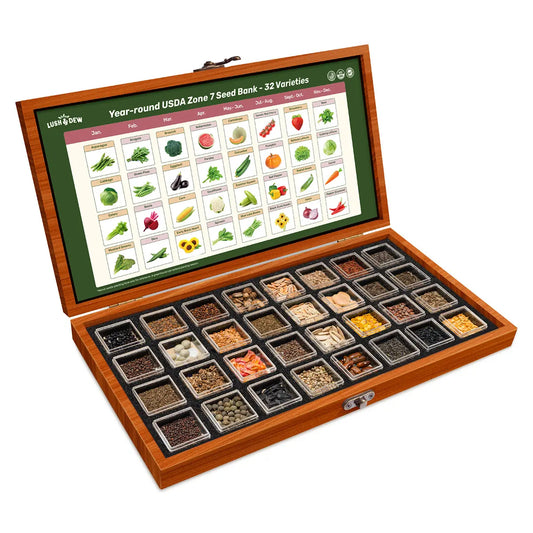 LUSH&DEW Year-Round USDA Zone 7 Seed Bank - 32 Organic Seed Varieties for All Seasons Gardening with Seasonal Synchrony