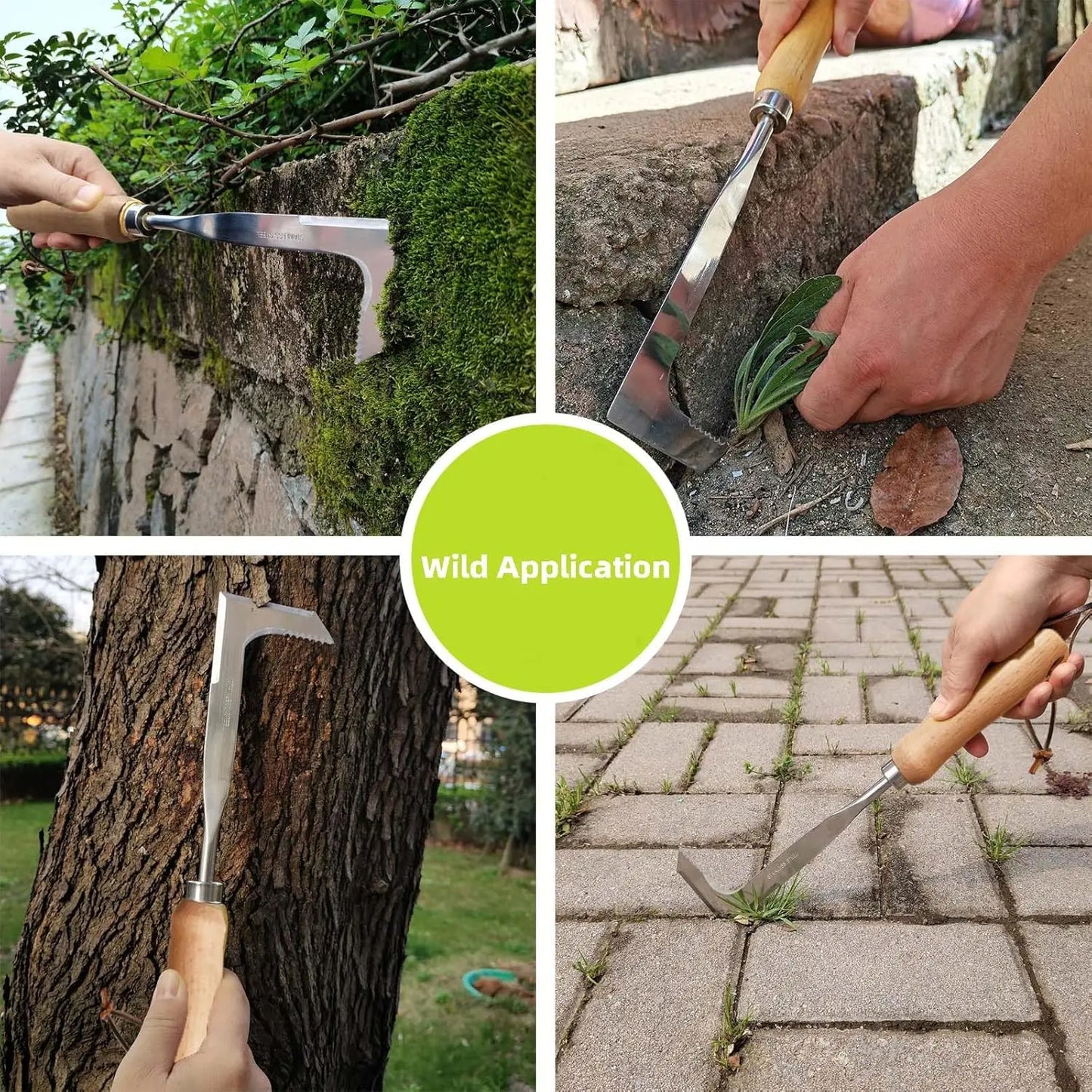 Crack Weeder Tool Stainless Steel Manual Grass Pullerwithbeech Wood Handle for Sidewalk Driveways Patiopavernarrow and Wall Gaps Garden