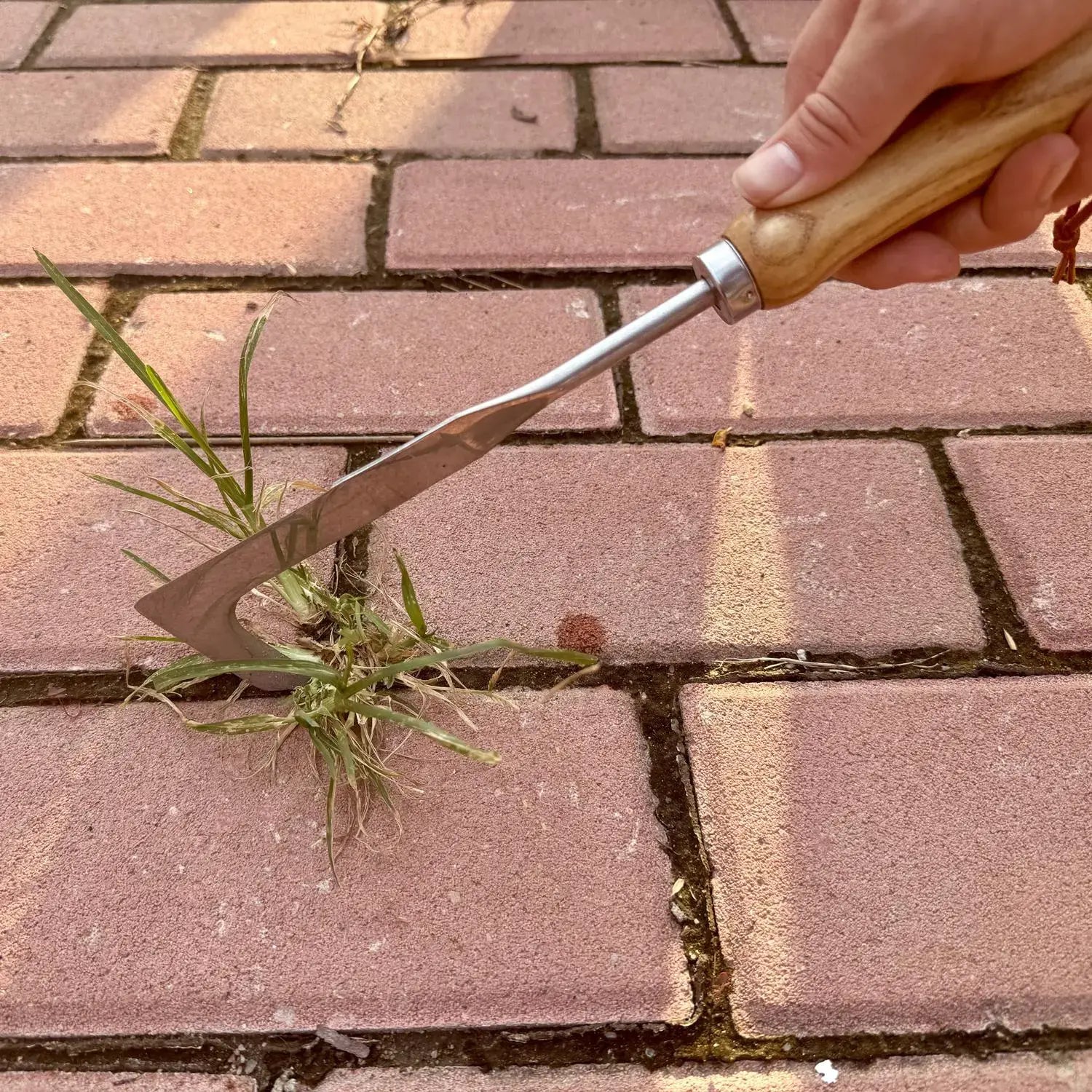 Crack Weeder Tool Stainless Steel Manual Grass Pullerwithbeech Wood Handle for Sidewalk Driveways Patiopavernarrow and Wall Gaps Garden
