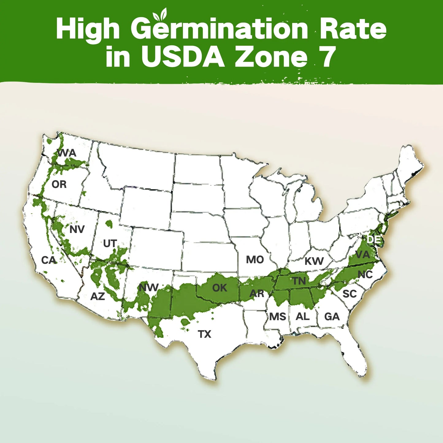 LUSH&DEW Year-Round USDA Zone 7 Seed Bank - 32 Organic Seed Varieties for All Seasons Gardening with Seasonal Synchrony