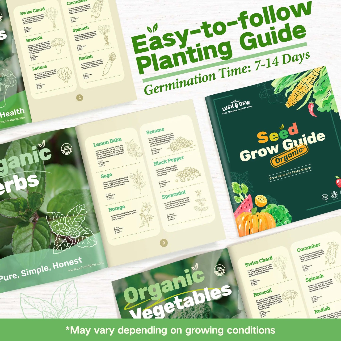 LUSH&DEW Year-Round USDA Zone 7 Seed Bank - 32 Organic Seed Varieties for All Seasons Gardening with Seasonal Synchrony