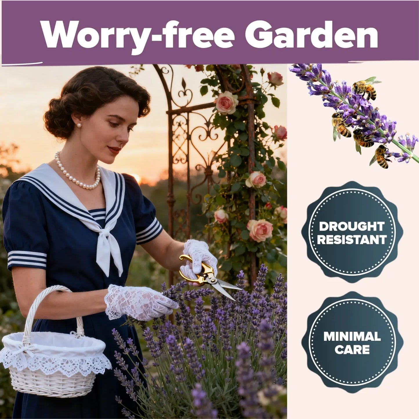 English Lavender Seeds 300 Herb Seeds, Wildflower Seed for Planting Indoor/Outdoor,High Germination,Plant Flower(Lavandula Antustifolia) Visit the HOME GROWN Store