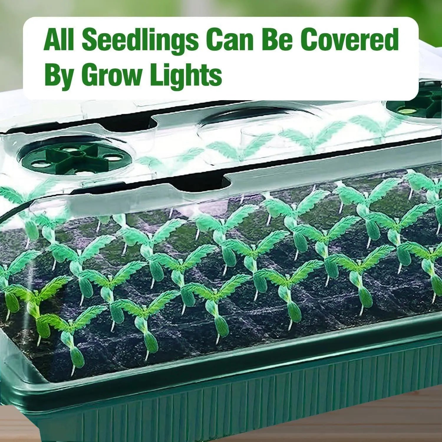 2-Pack Seed Germination Tray Set, Rechargeable Seedling Starter Tray with LED Grow Lights for Greenhouse, Garden Plant Growth, Ideal Gift for Gardeners, Garden Plant Supplies #GLOBAL PICKS