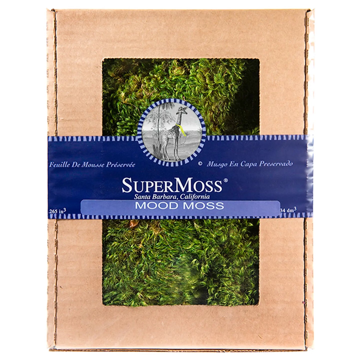 Supermoss Preserved Mood Moss, Fresh Green | Ideal for Terrariums, Floral Arrangements, Indoor Plants, and Green Decor