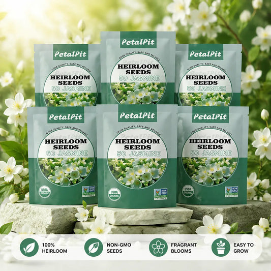 For 50 Non-Gmo Climbing Silver Jasmine Seeds - Aromatic Evergreen, Ideal Decor Choice for Garden & Balcony
