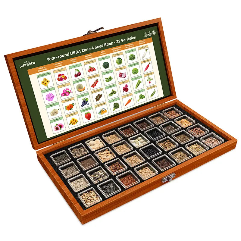 LUSH&DEW Year-Round USDA Zone 7 Seed Bank - 32 Organic Seed Varieties for All Seasons Gardening with Seasonal Synchrony