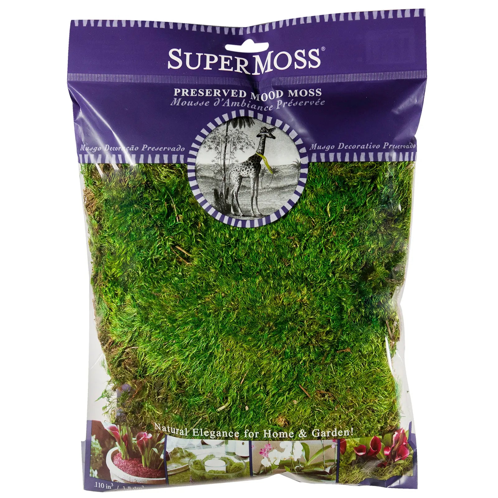 Supermoss Preserved Mood Moss, Fresh Green | Ideal for Terrariums, Floral Arrangements, Indoor Plants, and Green Decor