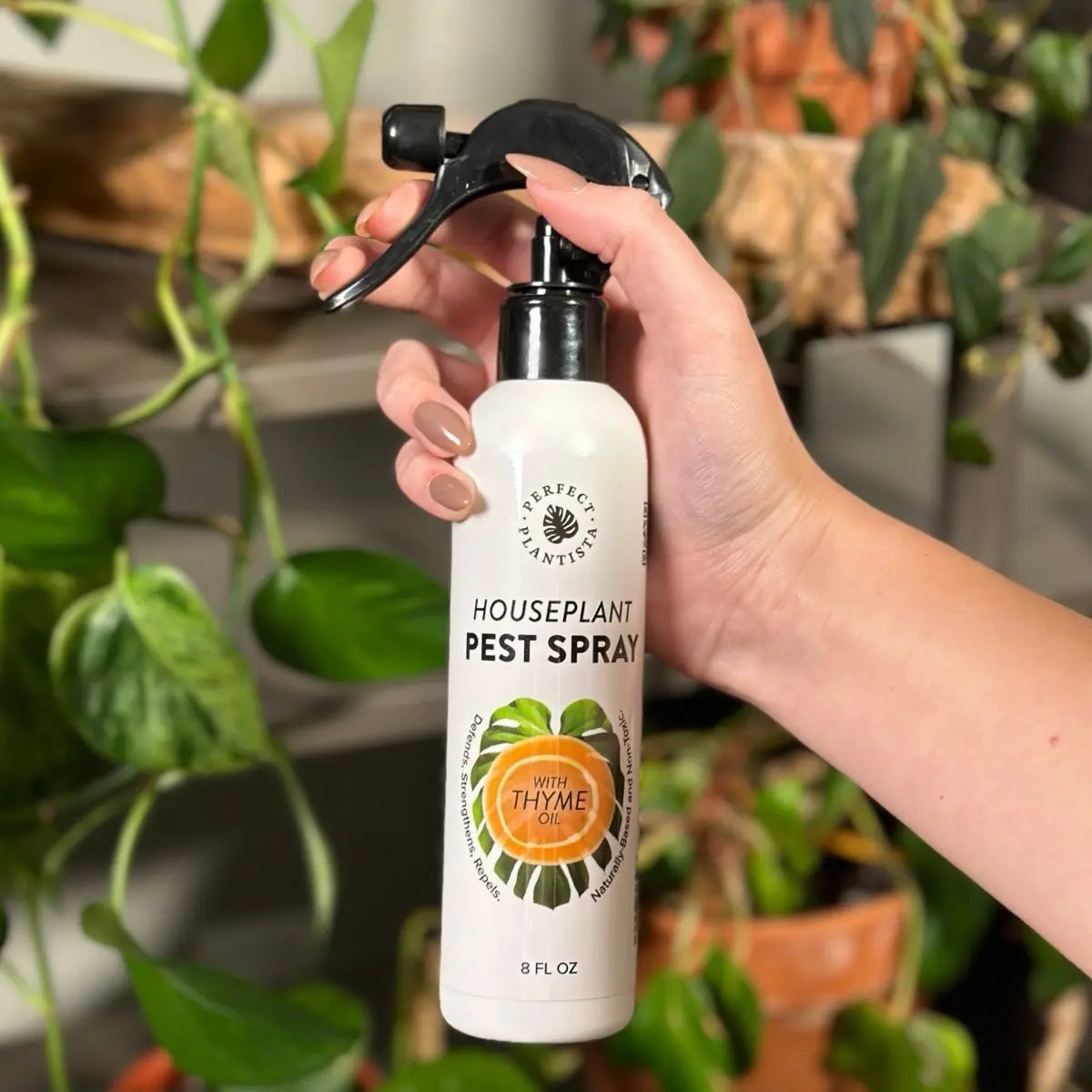Perfect Plantista Houseplant Pest Spray for Houseplant Pests Thyme Oil Repellent