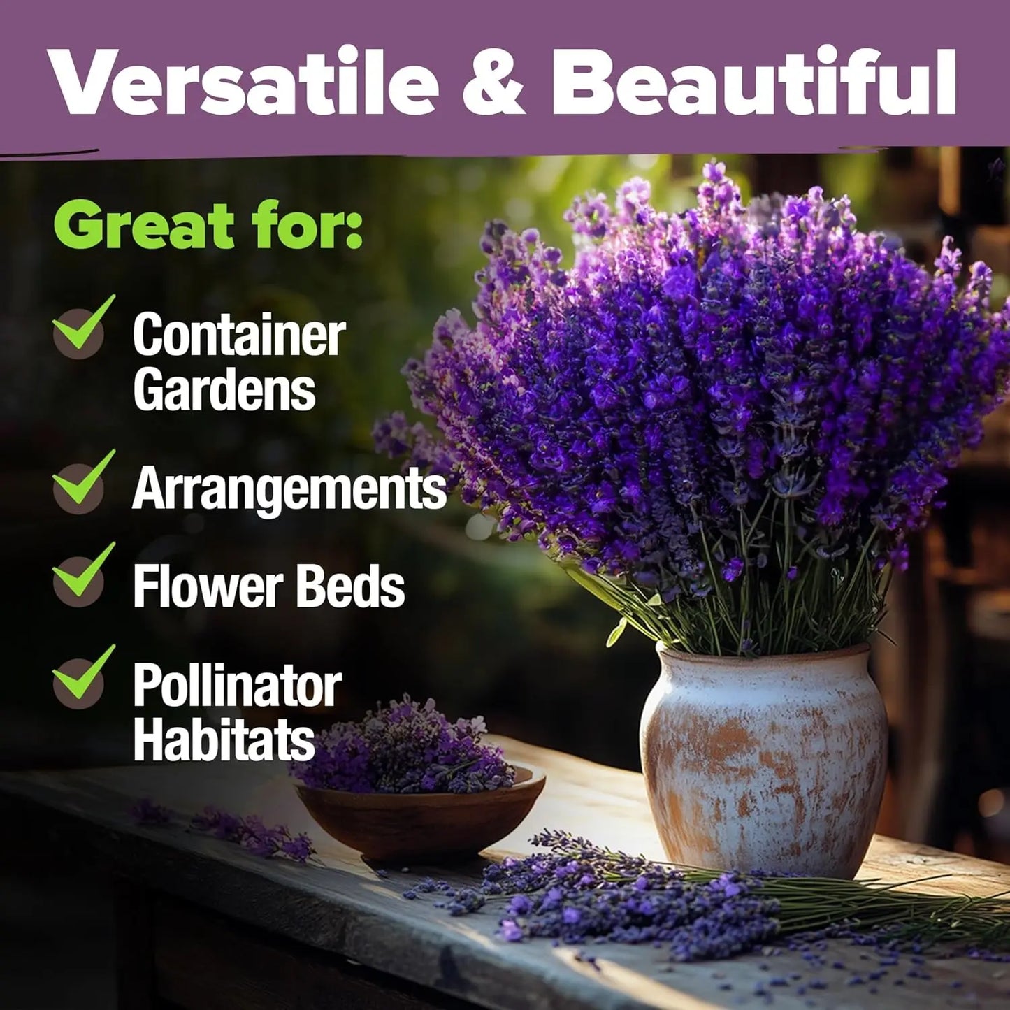 English Lavender Seeds 300 Herb Seeds, Wildflower Seed for Planting Indoor/Outdoor,High Germination,Plant Flower(Lavandula Antustifolia) Visit the HOME GROWN Store