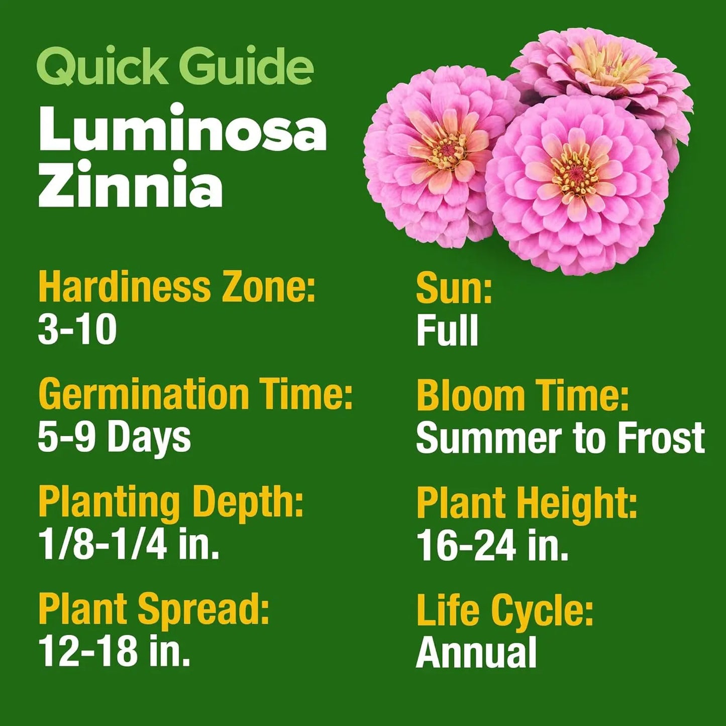 Pastel Garden Flower Seed Bundle – Zinnia Luminosa, Snapdragon Northern Lights & Zinnia Envy