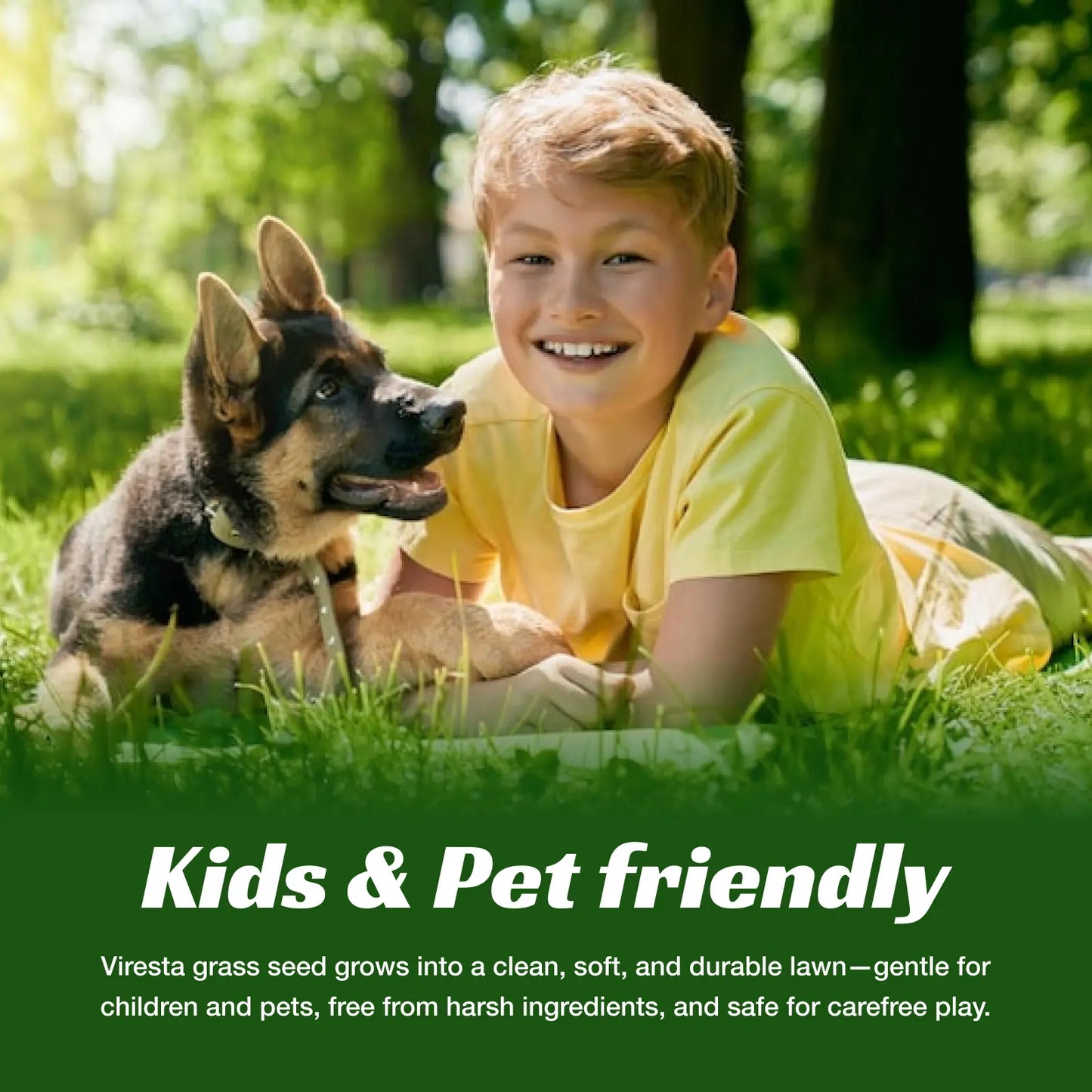 Premium Grass Seeds Sun & Shade - Hardy Lawn Seeds for Dense Green Turf, Great for New Lawns or Overseeding