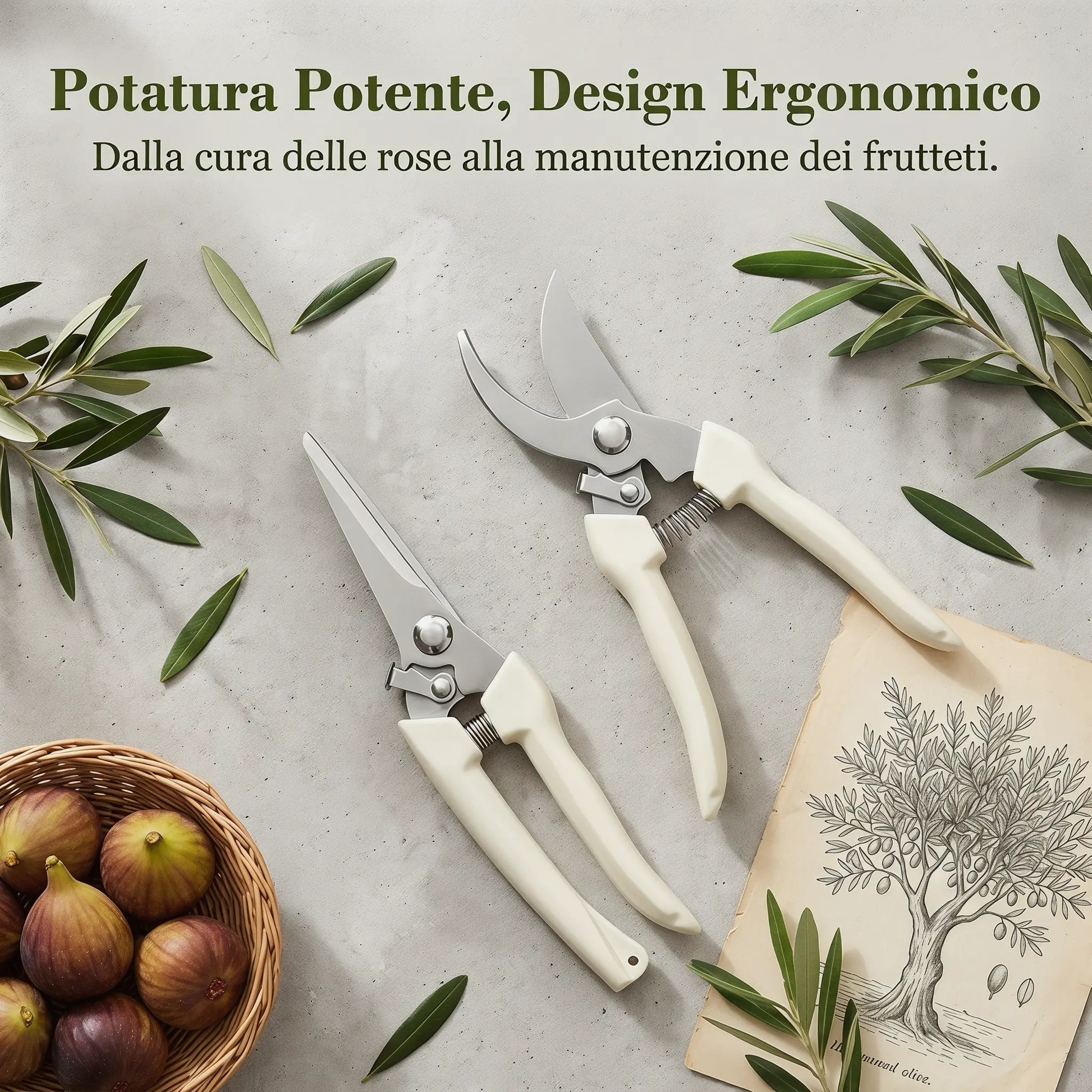 IRONFIX 2Pcs Stainless Steel Garden Pruning Shears - Sharp Pruning Tool, Cutting Pruners for Gardening & Florists, Garden Tools with Straight & Curved Blades for Plants, Fruit Tree Branches