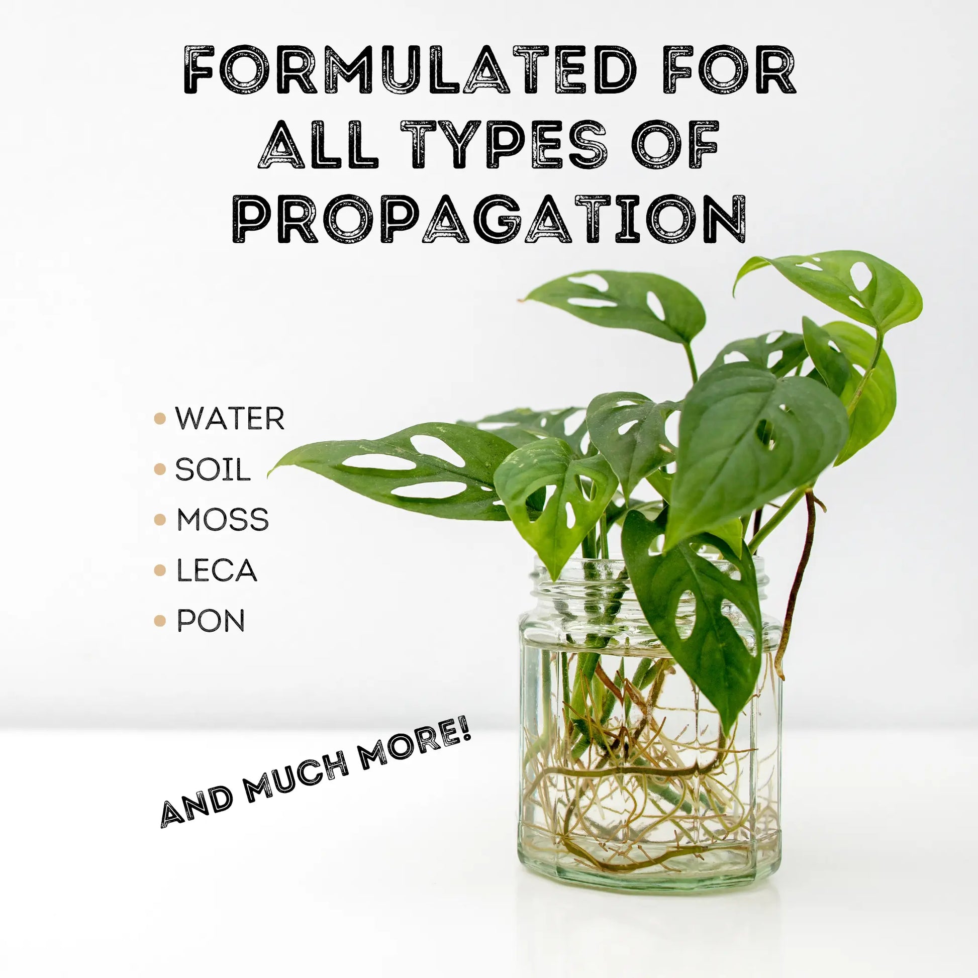 Prop Drops - Liquid Root Growth Stimulator for Houseplant Propagation
