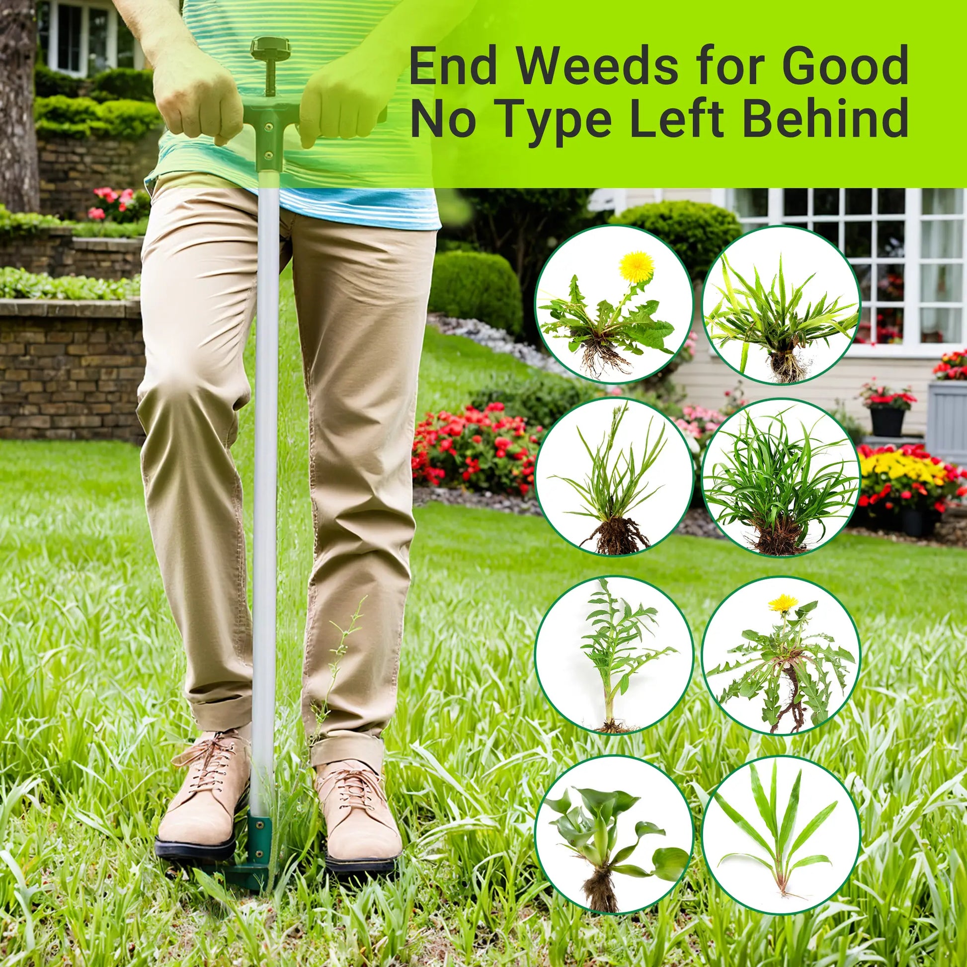 Walensee Stand-Up Lawn Root Puller for Dandelions & Deep-Root Plants — No-Bend Design, Perfect for Homeowners & Fall Yard Care, Black Friday Deal